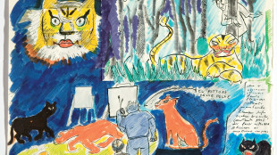 Il Comune di Rimini acquisisce 4 pagine del 'Libro dei sogni' di Fellini