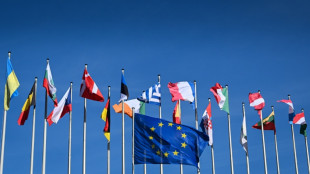 Rechte Parteien legen bei Europawahl deutlich zu - EVP bleibt st&auml;rkste Kraft
