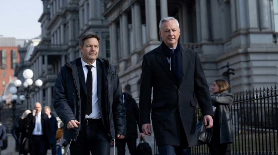 Ministros de Francia y Alemania abordar&aacute;n los subsidios verdes con EEUU