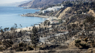 Le suspect d'un des incendies de Los Angeles attendu au tribunal pour son proc&egrave;s