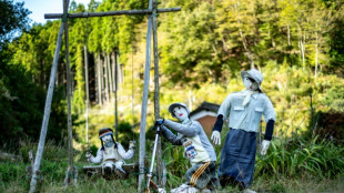 El pueblo japon&eacute;s con un ni&ntilde;o y decenas de marionetas
