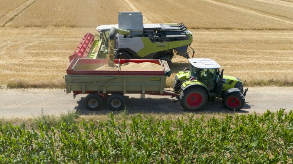 Rebond des prix et volumes agricoles en 2025, apr&egrave;s la terrible ann&eacute;e 2024 (bilan Insee)