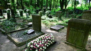 Preise für Bestattungen überdurchschnittlich gestiegen