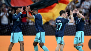 Ifo-Institut: Fu&szlig;ballturniere machen Unternehmen optimistischer