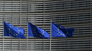 Pourquoi avoir invit&eacute; les autorit&eacute;s talibanes &agrave; Bruxelles? L'UE sur le gril au Parlement