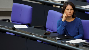 Baerbock muss Pazifikreise wegen Regierungsflieger-Problemen endg&uuml;ltig abbrechen