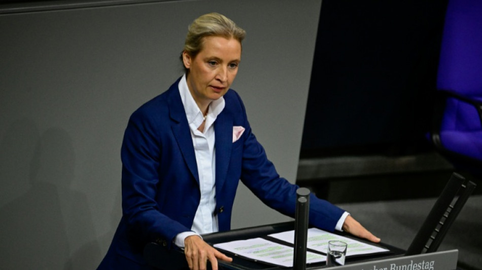 AfD-Verwandtenaff&auml;re: Parteispitze weist Vorw&uuml;rfe zur&uuml;ck