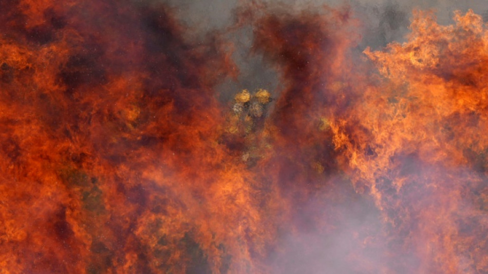 Francia envía dos aviones Canadair a España para luchar contra incendios