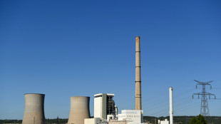Du charbon &agrave; la biomasse, la lente et laborieuse mue de la centrale de Gardanne