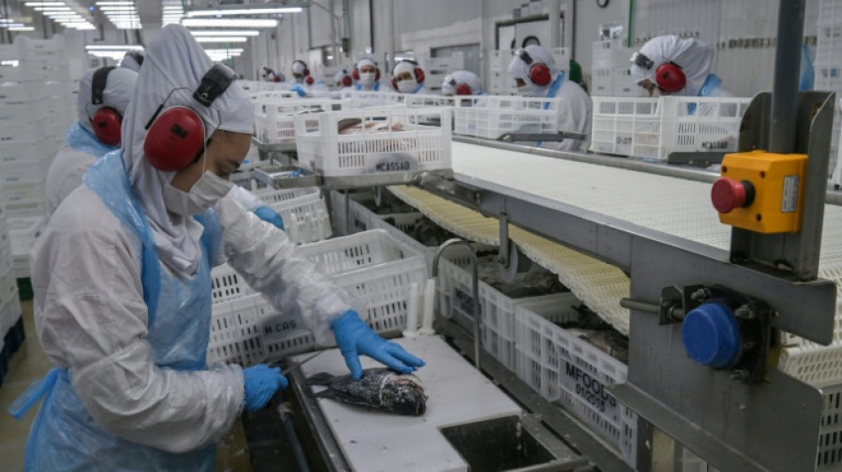 Desemprego no Brasil se mantém no mínimo histórico, apesar das tarifas de Trump