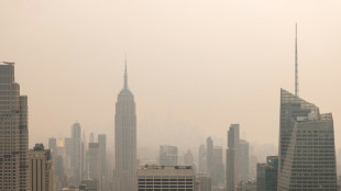 Experte: Rauch in New York "nicht optimal" vor WM-Finale