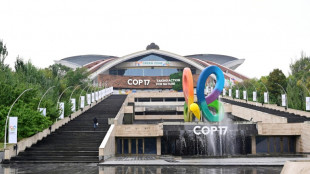 A la COP17, haro sur les subventions aux activit&eacute;s n&eacute;fastes &agrave; la biodiversit&eacute;