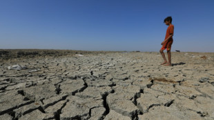 El calentamiento del planeta se acelera y sube +0,2&ordm; C por d&eacute;cada