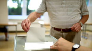 Landeswahlausschuss: 14 Parteien d&uuml;rfen bei Landtagswahl in Brandenburg antreten