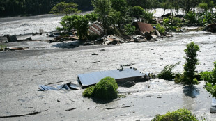 Nepal flood triggered by rock and ice avalanche: report