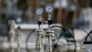 Nord-Stream-Sabotage: Weiterer Verd&auml;chtiger in Polen gefasst