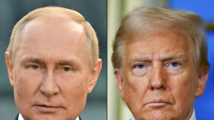 Putin llama a sus aliados clave antes de un posible encuentro con Trump