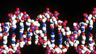 Mappe 3D del Dna svelano nuovi geni legati a malattie autoimmuni