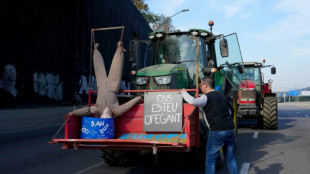 Los agricultores espa&ntilde;oles contin&uacute;an con los bloqueos de carreteras