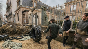 Rinder-Virus: Franz&ouml;sische Bauern protestieren gegen das Keulen von Herden