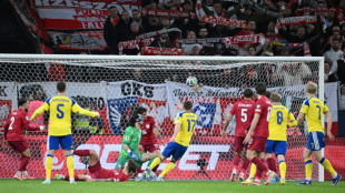 Sweden bidding to make most of back-door World Cup entry