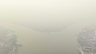 Malaisie: &eacute;tat d'urgence dans un Etat de Born&eacute;o face aux fum&eacute;es venant d'Indon&eacute;sie
