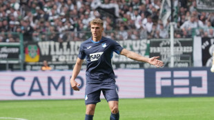 Stuttgart holt Pr&ouml;mel aus Hoffenheim