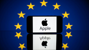 Servicios de Apple y Microsoft escapar&aacute;n a la regulaci&oacute;n reforzada en la UE