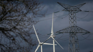 Eoliennes: l'UE lance une enqu&ecirc;te antisubventions visant la Chine