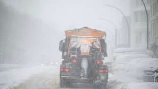 Wintersturm "Elli" sorgt f&uuml;r Chaos: Gest&ouml;rter Bahnverkehr und t&ouml;dliche Unf&auml;lle