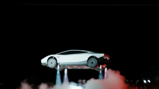 Fliegender Tesla-Roadster ruft US-Verkehrsbeh&ouml;rde auf den Plan 
