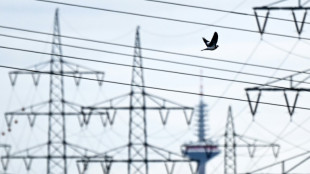 Alemania supera a Jap&oacute;n como tercera econom&iacute;a mundial