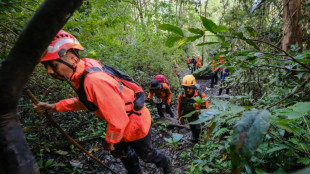 Rescatistas indonesios encuentran restos de avioneta desaparecida