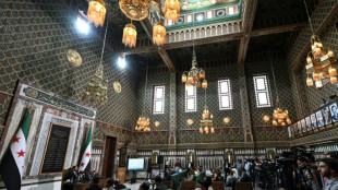 Syrischer Pr&auml;sident al-Scharaa ernennt letzte Mitglieder von &Uuml;bergangsparlament