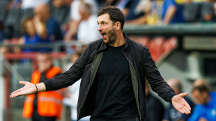 Hertha verspielt Sieg bei Schwarz-R&uuml;ckkehr nach Mainz