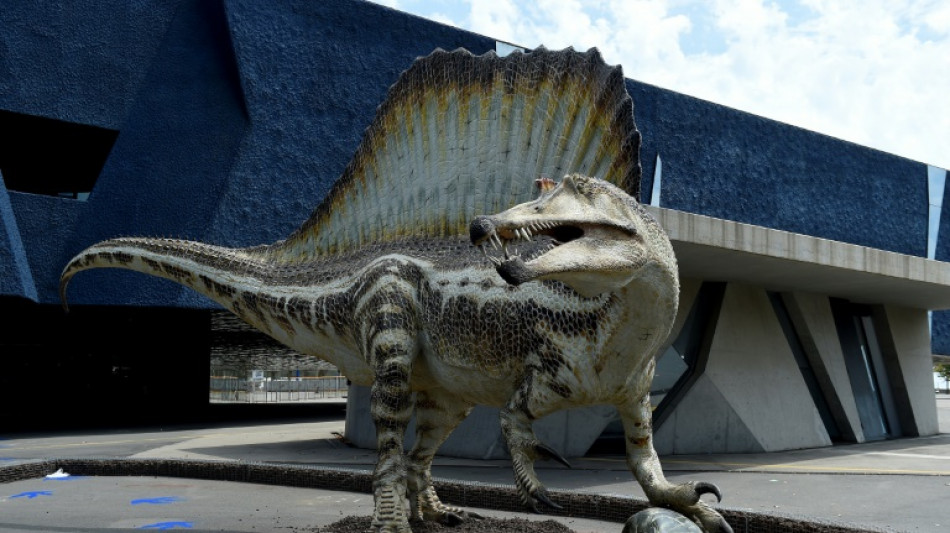 Knochenfunde: Riesige Spinosaurier aus Afrika haben offenbar Ursprung in Europa