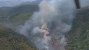 Online tutti gli incendi d'Italia, individuati dai satelliti in pochi minuti