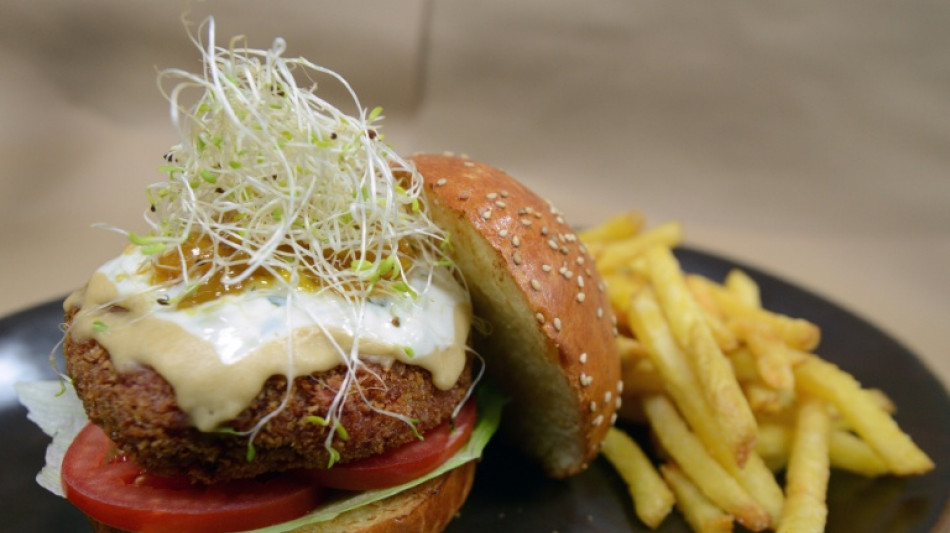 Veggie-Schnitzel: Agrarminister Rainer will sich gegen EU-Namensverbot einsetzen