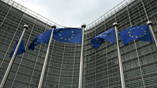 Les pays de l'UE trouvent un accord sur de nouvelles sanctions contre la Russie