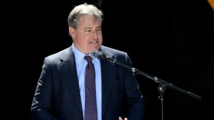 New commissioner Berg wants to take MLS to 'next level'