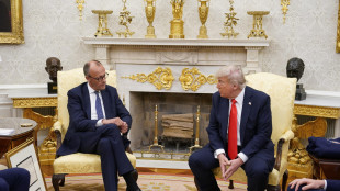 Berlino, Merz da Trump a Washington il 2 e il 3 marzo