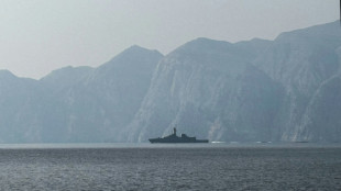 La guerra en Ir&aacute;n ralentiza la industria petroqu&iacute;mica en Jap&oacute;n y Corea del Sur