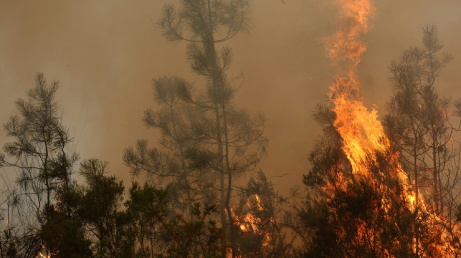 Inc&ecirc;ndio amea&ccedil;a Bordeaux e for&ccedil;a evacua&ccedil;&atilde;o de 325 mil pessoas na Fran&ccedil;a e na Espanha