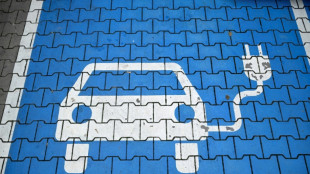&Ouml;lpreise als Treiber: E-Auto-Markt in Europa erreicht laut Studie neues Allzeithoch