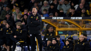 Forest set to hire former Wolves boss Pereira: reports