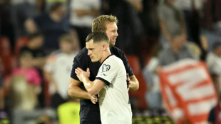 8,5 Millionen sehen DFB-Sieg gegen Nordirland