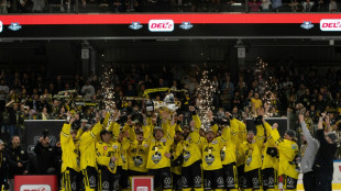 DEL erteilt Lizenz: R&uuml;ckkehr der Krefeld Pinguine perfekt