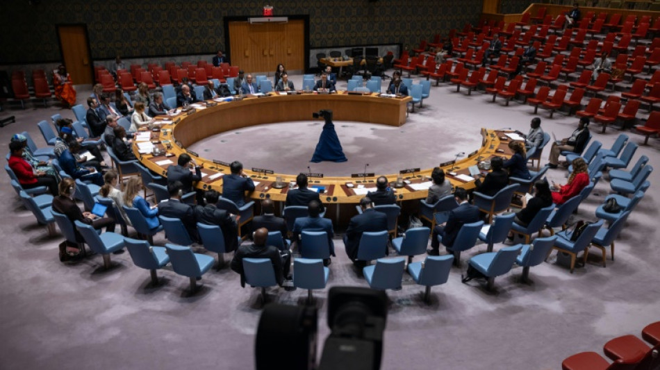 USA f&uuml;r zwei st&auml;ndige Sicherheitsratssitze f&uuml;r afrikanische Staaten