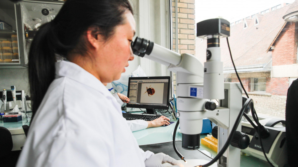 Scoperto un parassita capace di alterare gli ecosistemi marini