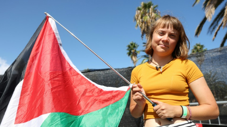 "Mettre les voiles": Greta Thunberg en t&ecirc;te d'une nouvelle flottille pour Gaza 